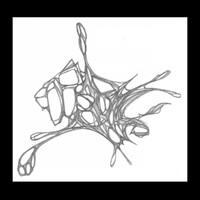 sans titre 
 2001-01. Crayon sur papier. . 
2001 – Dominique Vial