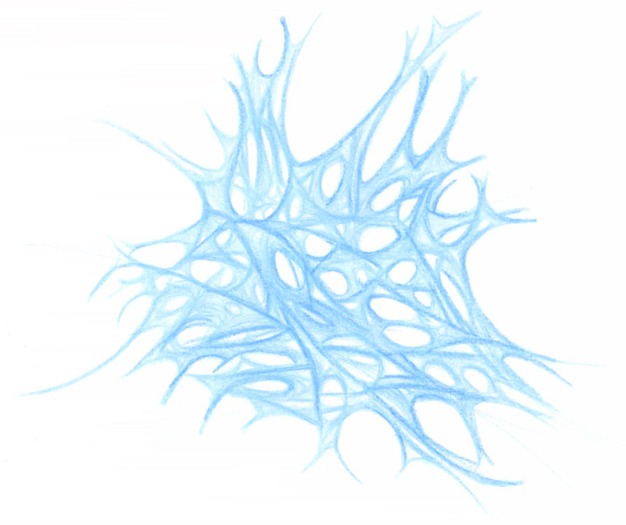 sans titre 
 2001-07. Crayon sur papier. . 
2001 – Dominique Vial