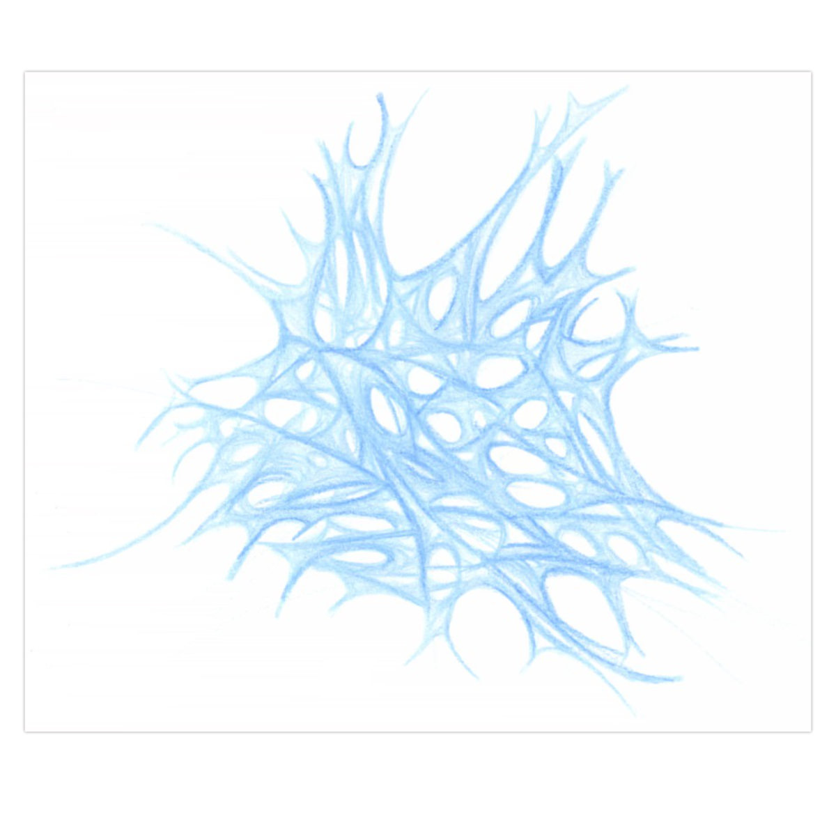 sans titre 
 2001-07. Crayon sur papier. . 
2001 – Dominique Vial