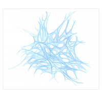 sans titre 
 2001-07. Crayon sur papier. . 
2001 – Dominique Vial