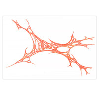 sans titre 
 2001-08. Crayon sur papier. . 
2001 – Dominique Vial