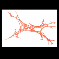 sans titre 
 2001-08. Crayon sur papier. . 
2001 – Dominique Vial