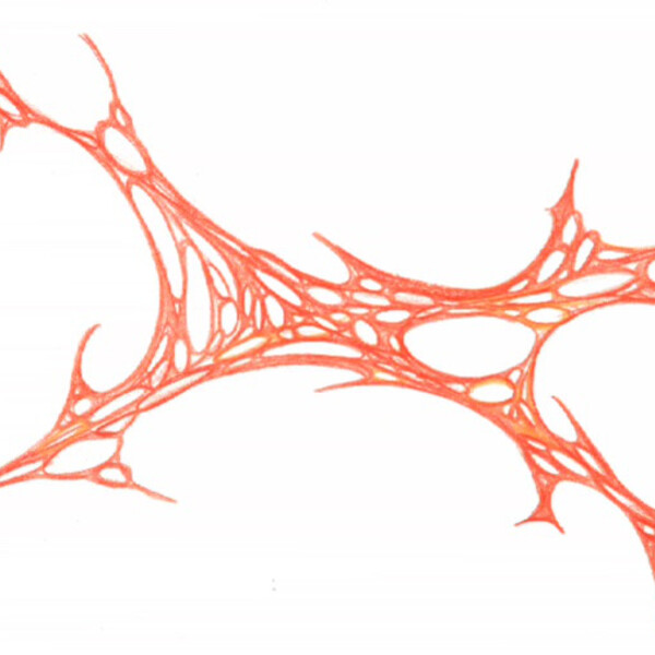 

sans titre
 
 2001-08 &ndash; Crayon sur papier &ndash;  &ndash; 2001