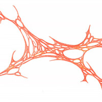 sans titre 
 2001-08. Crayon sur papier. . 
2001 – Dominique Vial