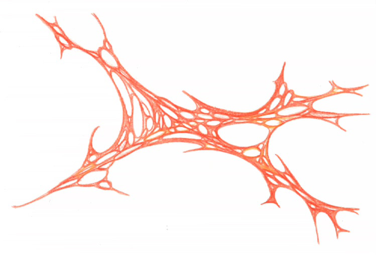 sans titre 
 2001-08. Crayon sur papier. . 
2001 – Dominique Vial