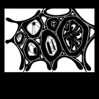 sans titre 
 2003-06. Encre de chine sur papier. . 
2003 – Dominique Vial