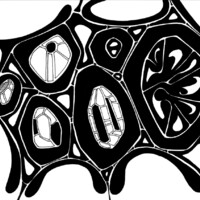 sans titre 
 2003-06. Encre de chine sur papier. . 
2003 – Dominique Vial