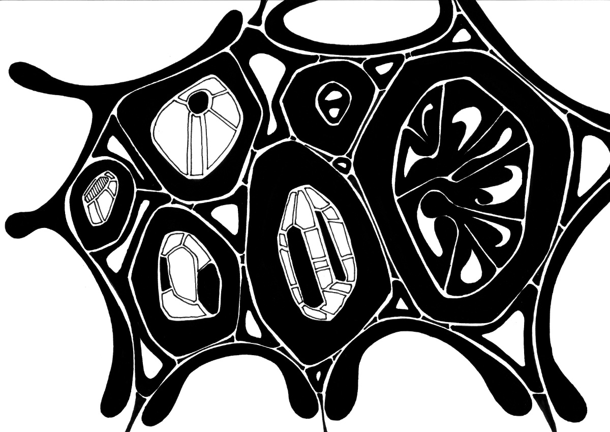 sans titre 
 2003-06. Encre de chine sur papier. . 
2003 – Dominique Vial