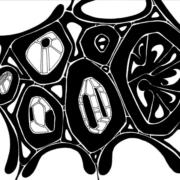 

sans titre
 
 2003-06 &ndash; Encre de chine sur papier &ndash;  &ndash; 2003