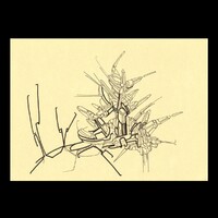 sans titre 
 2017-11. Encre pigmentée sur papier. 21 x 14.8 cm. 
2017 – Dominique Vial