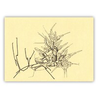 sans titre 
 2017-11. Encre pigmentée sur papier. 21 x 14.8 cm. 
2017 – Dominique Vial