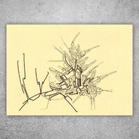 sans titre 
 2017-11. Encre pigmentée sur papier. 21 x 14.8 cm. 
2017 – Dominique Vial