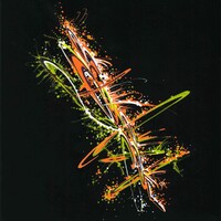 sans titre 
 2019-011. Acrylique sur papier noir Black Black Fabriano. 24 x 32 cm. 
2019 – Dominique Vial