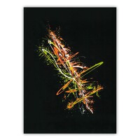 sans titre 
 2019-011. Acrylique sur papier noir Black Black Fabriano. 24 x 32 cm. 
2019 – Dominique Vial