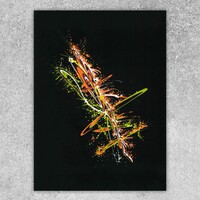 sans titre 
 2019-011. Acrylique sur papier noir Black Black Fabriano. 24 x 32 cm. 
2019 – Dominique Vial