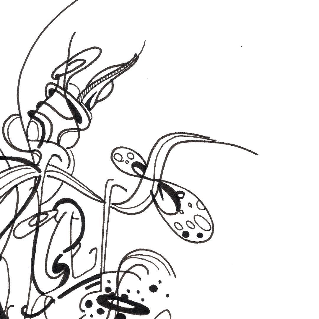 sans titre 
 2019-017. Encre pigmentée sur papier Fabriano. 20.3 x 25.4 cm. 
2019 – Dominique Vial