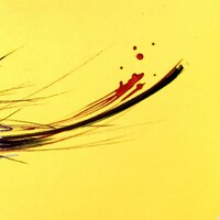 sans titre 
 2019-049. Peinture acrylique sur bois. 62 x 22 cm. 
2019 – Dominique Vial