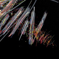 sans titre 
 2020-007. Peinture acrylique sur bois. 50 x 50 cm. 
2020 – Dominique Vial