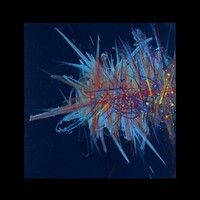 sans titre 
 2020-031. Acrylique et encres à alcool sur bois. 20 x 20 cm. 
2020 – Dominique Vial