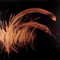 sans titre 
 2021-002. Acrylique et encres à alcool sur bois. 50 x 50 cm. 
2021 – Dominique Vial