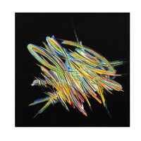 sans titre 
 2023-024. Acrylique et encre pigmentée sur papier Fabriano. 20 x 20 cm. 
2023 – Dominique Vial