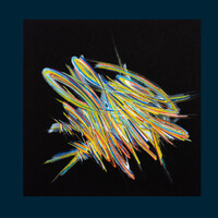 sans titre 
 2023-024. Acrylique et encre pigmentée sur papier Fabriano. 20 x 20 cm. 
2023 – Dominique Vial