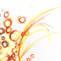 sans titre 
 2024-08. Acrylique, Bic, encre pigmentée, encre solidifiée, encres à alcool sur papier Fabriano. 20 x 20 cm. 
2024 – Dominique Vial