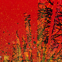 sans titre 
 2024-12. Acrylique, peinture solidifiée, encre pigmentée sur bois. 20 x 20 cm. 
2024 – Dominique Vial