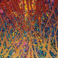 sans titre 
 2025-04. Acrylique, encre pigmentée et encre à base d’alcool sur bois. 50 x 50 cm. 
2025 – Dominique Vial