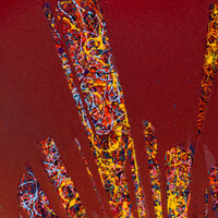 sans titre 
 2025-04. Acrylique, encre pigmentée et encre à base d’alcool sur bois. 50 x 50 cm. 
2025 – Dominique Vial